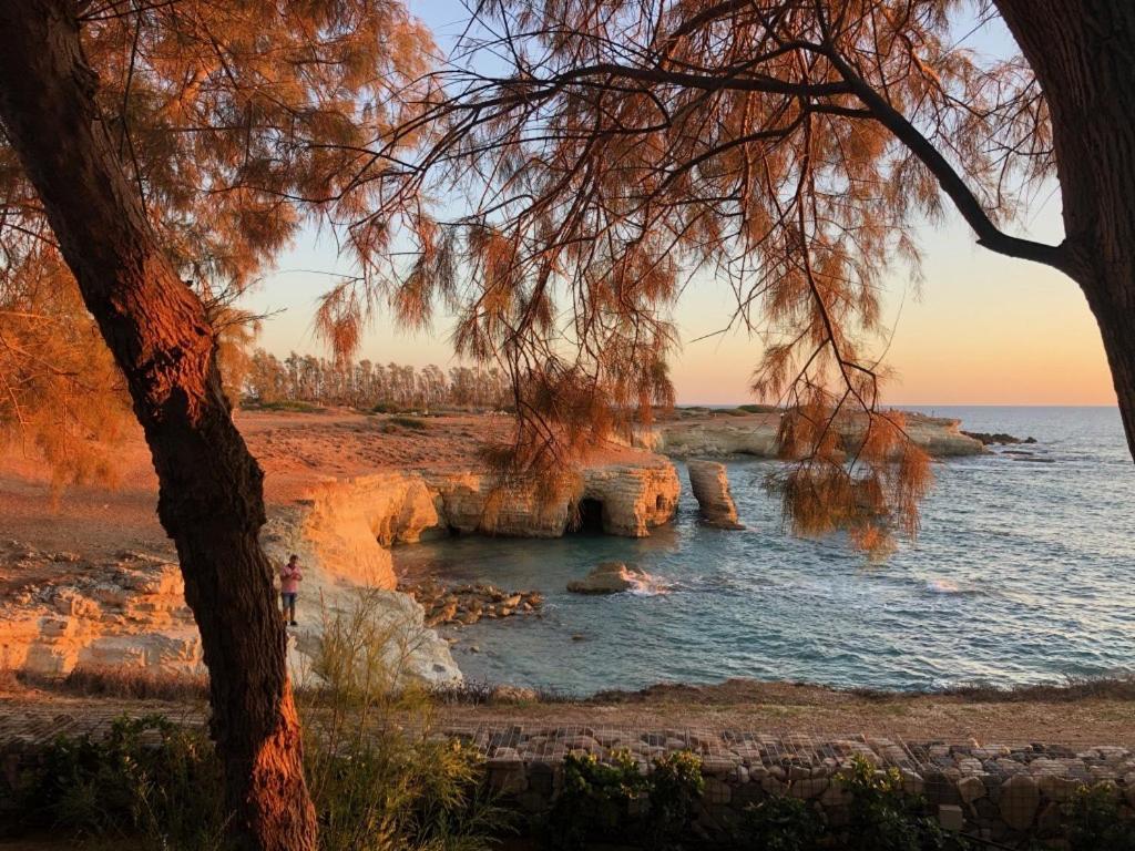 Cozy Apartment In Paphos Beautiful Complex Bagian luar foto
